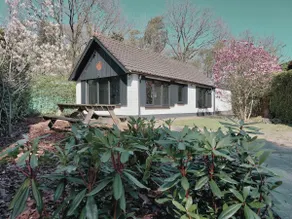 Forest cabin with hot tub & privacy – Oud-Veluwe - Image 2