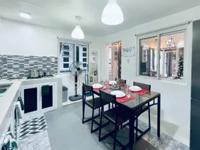 B&R Broom - Image 4