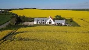 Beautifully newly renovated home - with ocean views - Image 4