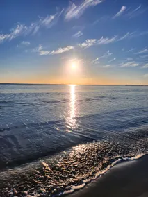 Pacific Pearl - Image 2