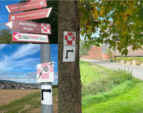 Pilgrimage and cycling between nature and culture - Image 5