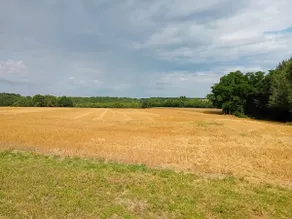 The Cottage in the Meadow - Image 5
