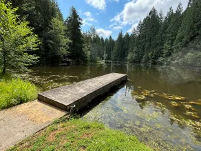 Cabin in the Woods - Image 3