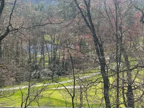 The Dogwood Condo - Image 2