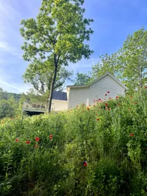 The Perch- whimsical cottage near lovely Lexington - Image 2