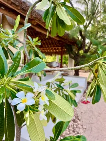 Hidden Paradise Moonrise beachfront with private pool Che Shale The Mahamri House - Image 3