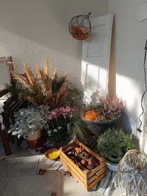 Chiara's Garden _ Refuge for Weary Souls - Image 3