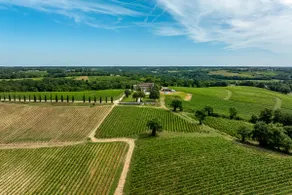 Beautiful panoramic view of the vineyards - Image 5