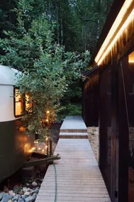 The Vagabond - Image 3