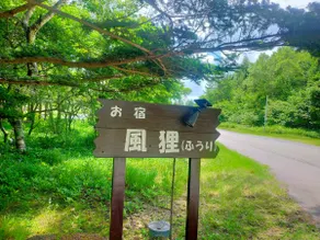 Winds crossing the Che-shan Plateau, blue sky, and white birch forest - Image 5