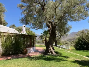 Cortijo Pago y Benisalte a Stylish villa set within beautiful mountain views - Image 4