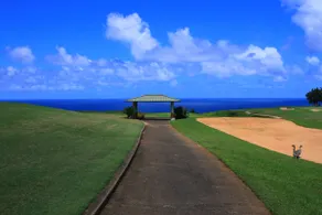3BR-Sleeps 7! Free 7-seater car! Ocean/Golf views. - Image 3