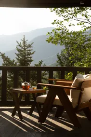 Family-Friendly Chalet in Smoky Mountains - Image 2
