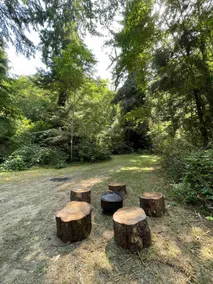 The Black Bear Cabin - Image 3