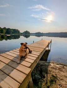 Dogs Stay Free! Fenced Lakefront Home with Sunsets - Image 5