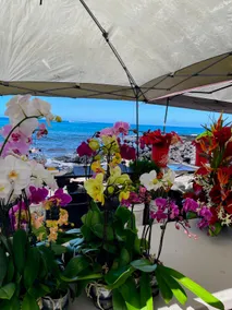 Unobstructed Ocean views, AC, 2 Min Beach, Snorkel - Image 4