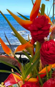Unobstructed Ocean views, AC, 2 Min Beach, Snorkel - Image 3