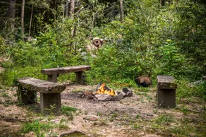 Roaring Waters Retreat - Image 5