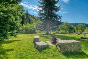 View over the forest + garden, campfire, fireplace - Image 2
