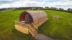 HoneyMug - Dog-Friendly, Northumberland Wilderness - Image 2