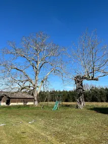 Peaceful country house - Image 3
