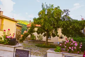 Maison de village Can Mahdia - Image 2
