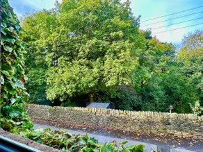 Thimble Cottage (Sleeps 3 - Dogs Welcome) - Image 4