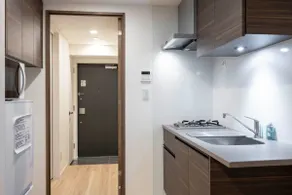 Mat Ryogoku, apartment with double bed and sofa bed j02 - Image 4