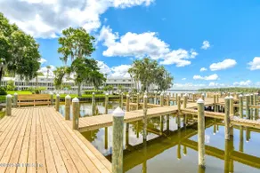 St John’s River Wonder - Image 3