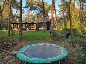 Wonderful nature house in the middle of the forest (max 6p) - Image 4