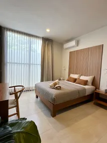 Copika - Ground floor + rooftop and pool, Mérida - Image 4