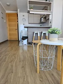 1D/1B Apartment - Image 4
