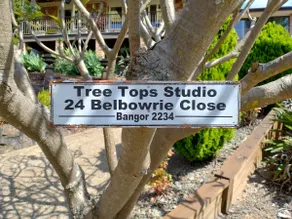 Tree Tops Studio Bangor - Image 2