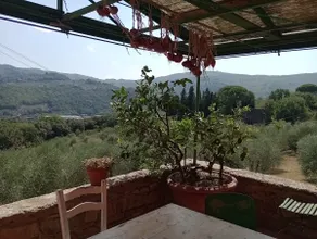 Lucia's Barn - Image 4
