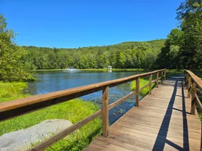 Saw Creek Chalet | Firepit | Pool | Bushkill Falls - Image 3
