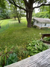 Country-S - Image 4