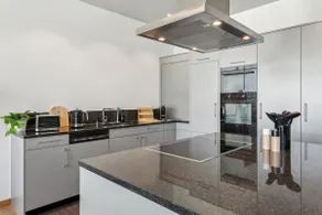 Deluxe Loft | Station | Parking | W/D | 15' Luzern - Image 5