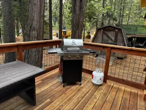 Family Cabin Near Pinecrest + Dogs OK + EV Charger - Image 4
