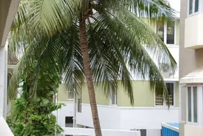 Affordable Luxury 3 BHK Apartment, T.Nagar - Image 5