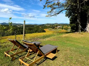 Ferienhaus Panorama - Gamlitz - Image 2