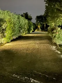 Country House la Quercia - Image 4