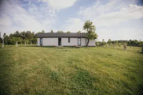 Plum Orchard - Image 2