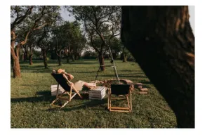 Plum Orchard - Image 3