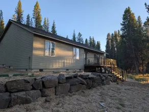 Wild Woods - Image 2