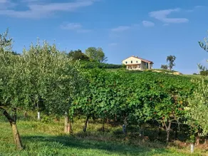 Riva Beata-L'Uliveto Farmhouse in the Asolo Hills - Image 3