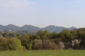Riva Beata-L'Uliveto Farmhouse in the Asolo Hills - Image 2
