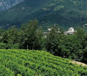 Riva Beata-L'Uliveto Farmhouse in the Asolo Hills - Image 4