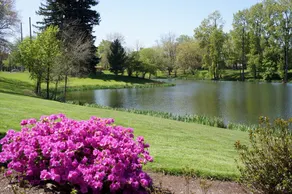 Longview Lake Home - Sleeps 6- View of the Lake! - Image 3