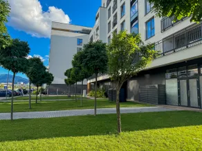 Cityscape Sage Green | Designer Inspired - Image 4