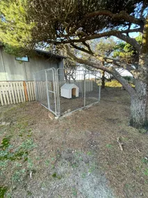 Oceanfront Entertainer | Views+Firepit+Dogs - Image 4